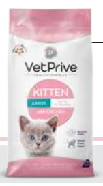 VET PRIVE CAT KITTEN WITH CHICKEN 10 KG